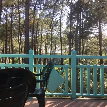 T2 Calme Sur Golf, Piscine, Ocean 10 Min En Velo Appartement *